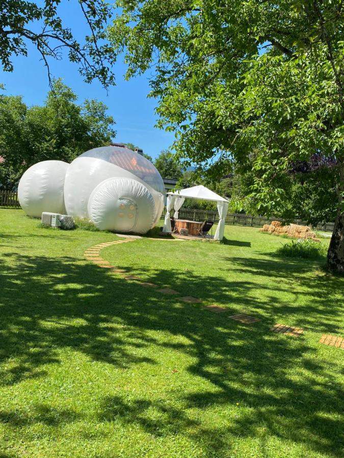 Luxuszelt Bubble Tent